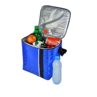 کول بگ ۱۵ لیتری ترموس Thermos مدل Thermocafe